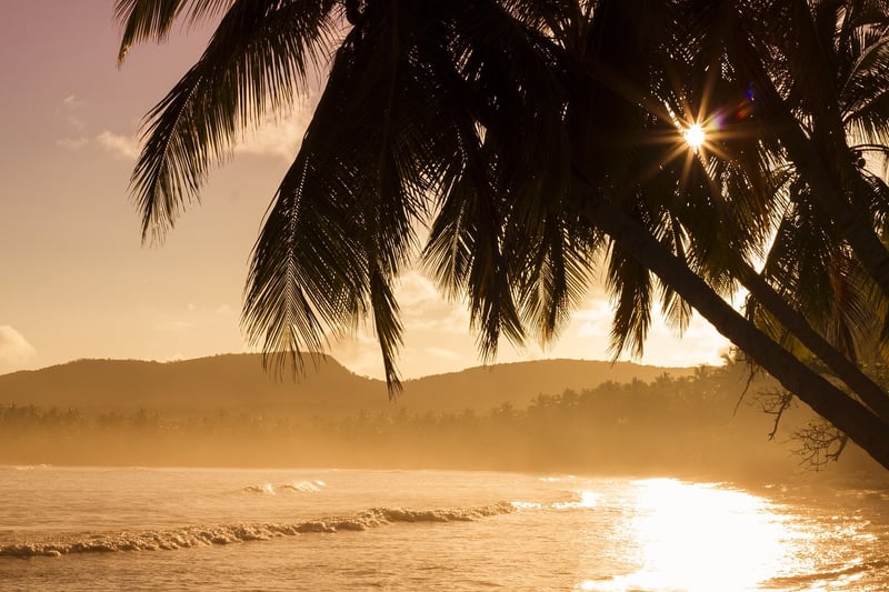 Tropical Paradise